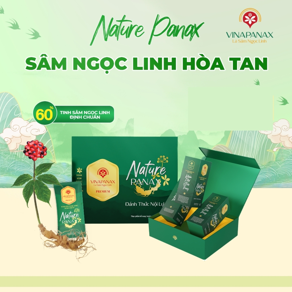 Sâm Ngọc Linh Nature Panax (15 gói x 10g)