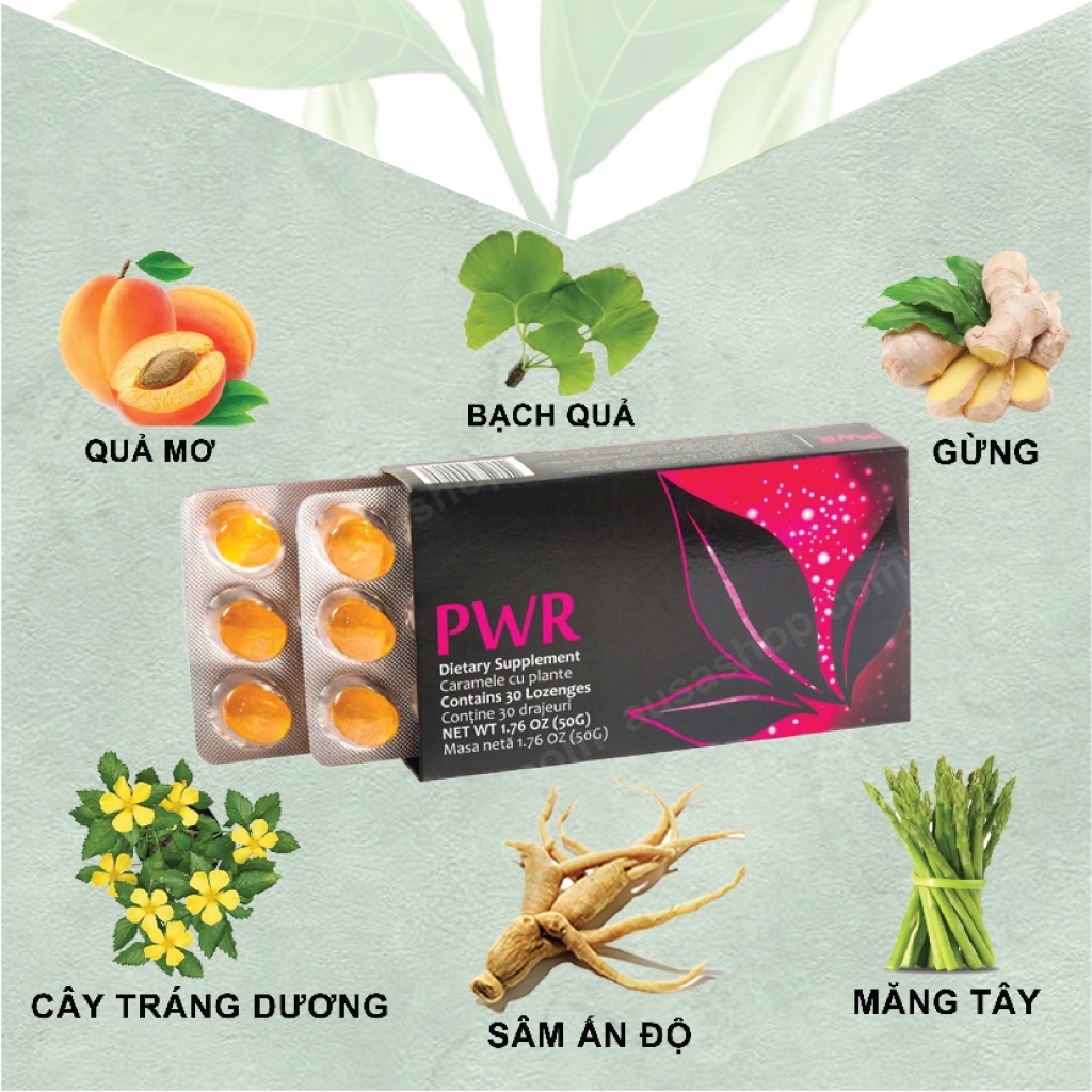 Kẹo Ngậm PWR Vị Mơ – Nội Tiết Nữ APLGO