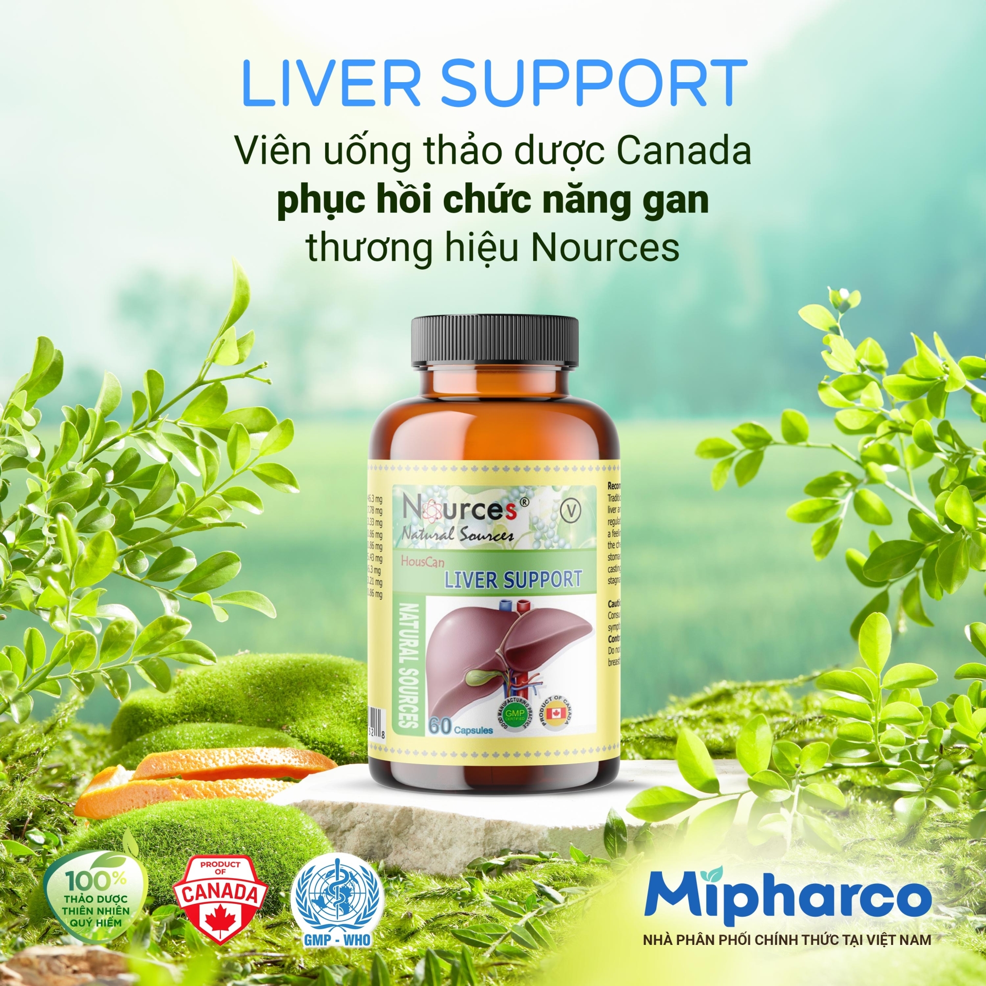 Liver Support - giải pháp organic từ Canada thương hiệu Nources giúp tăng cường chức năng gan, giảm đau dạ dày, hỗ trợ điều trị ợ hơi, đầy bụng với thành phần 100% thảo dược thiên nhiên