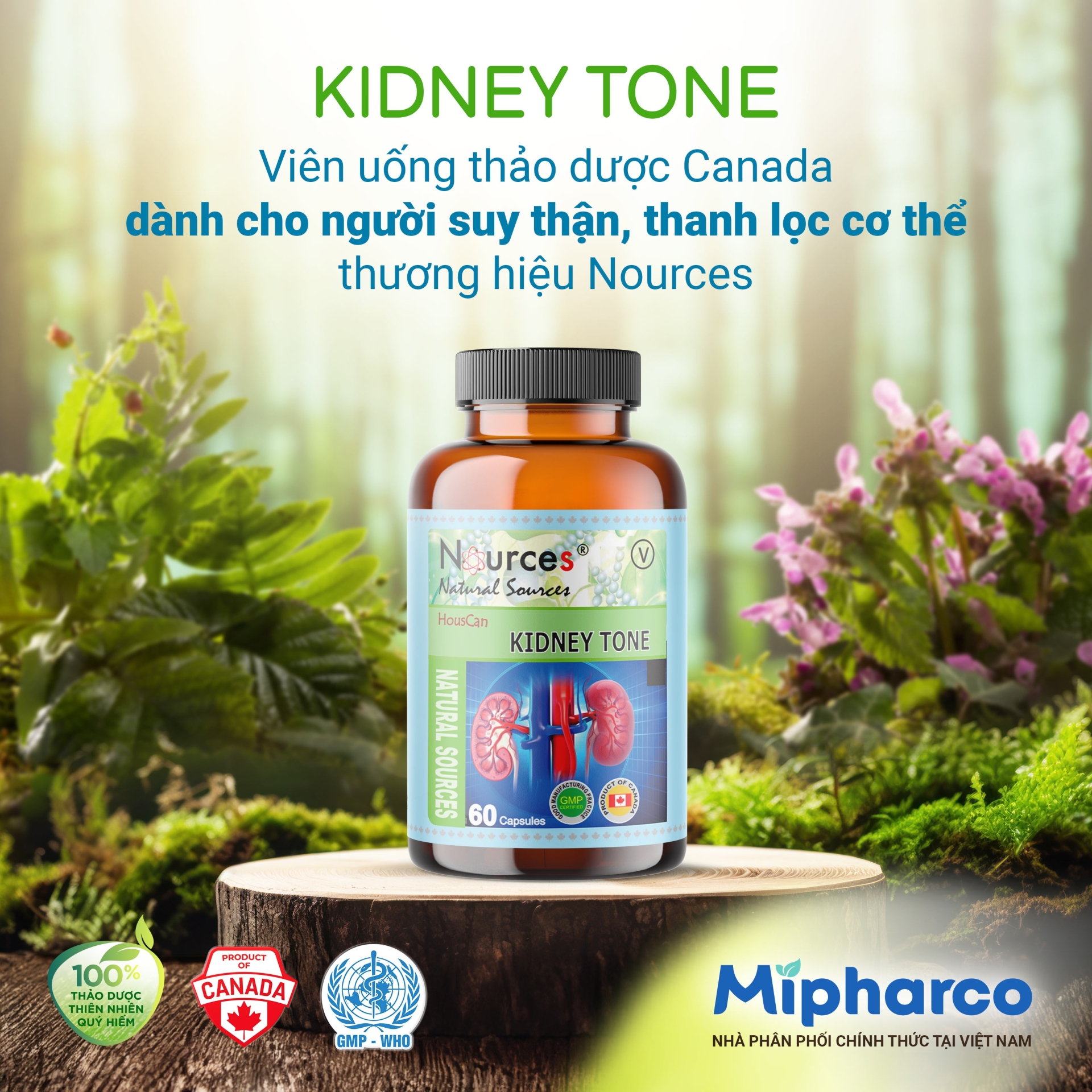 Kidney Tone – Viên uống thảo dược Canada điều hoà suy thận, bổ thận, tráng dương, chống suy nhược cơ thể