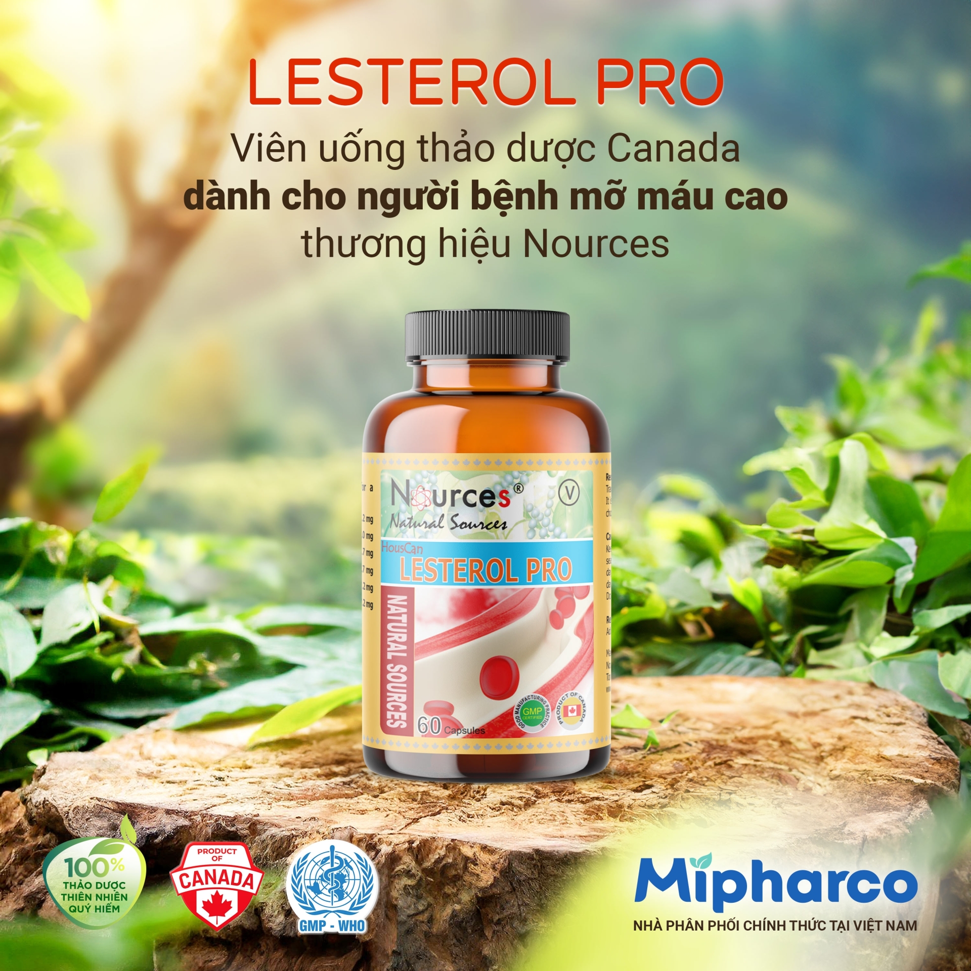 Lesterol Pro – Viên uống thảo dược Canada thương hiệu Nources giảm Cholesterol, bảo vệ mạch máu