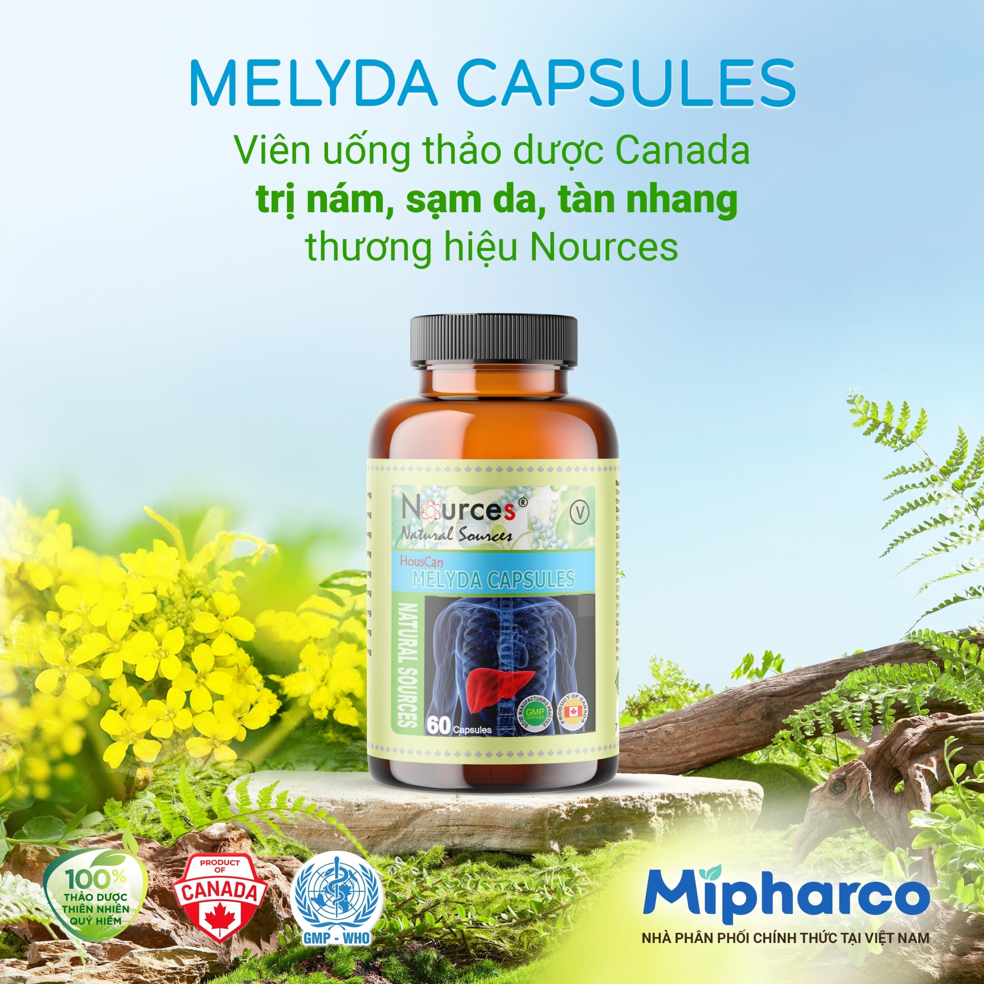 Melyda Capsules – Viên uống thảo dược Canada trị nám, sạm da, tàn nhang