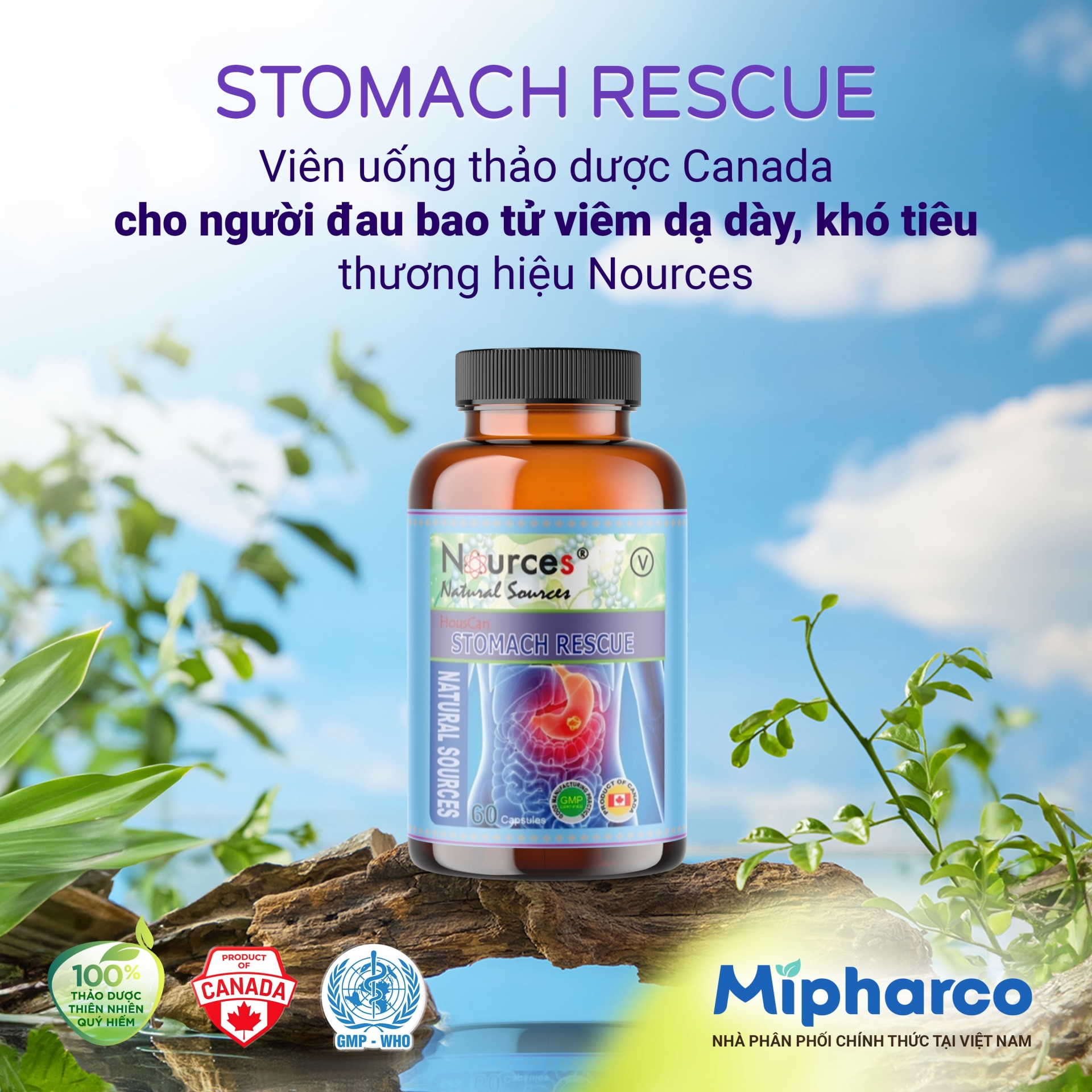 Stomach Rescue – Viên uống thảo dược Canada hỗ trợ điều trị đau bao tử, viêm dạ dày, đầy hơi, khó tiêu