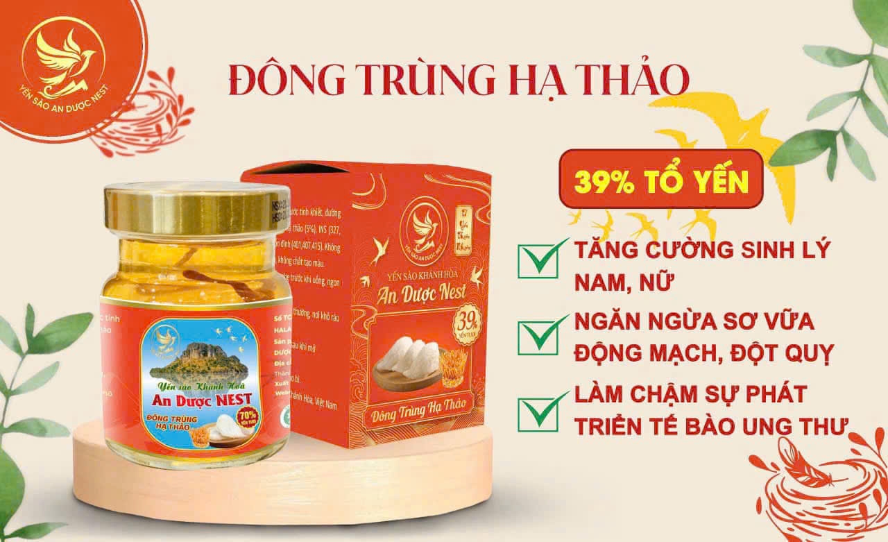 Yến chưng đông trùng hạ thảo An dược Nest