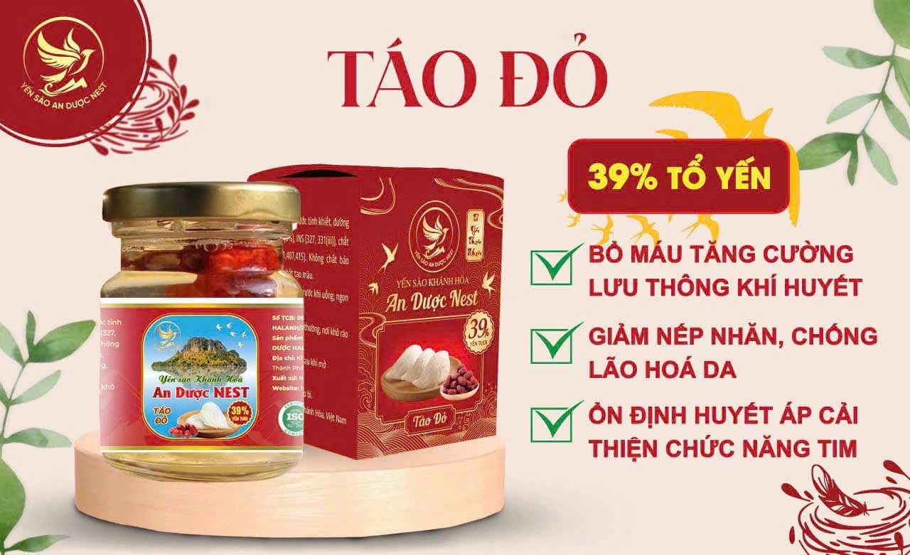 Yến chưng Táo đỏ An dược Nest