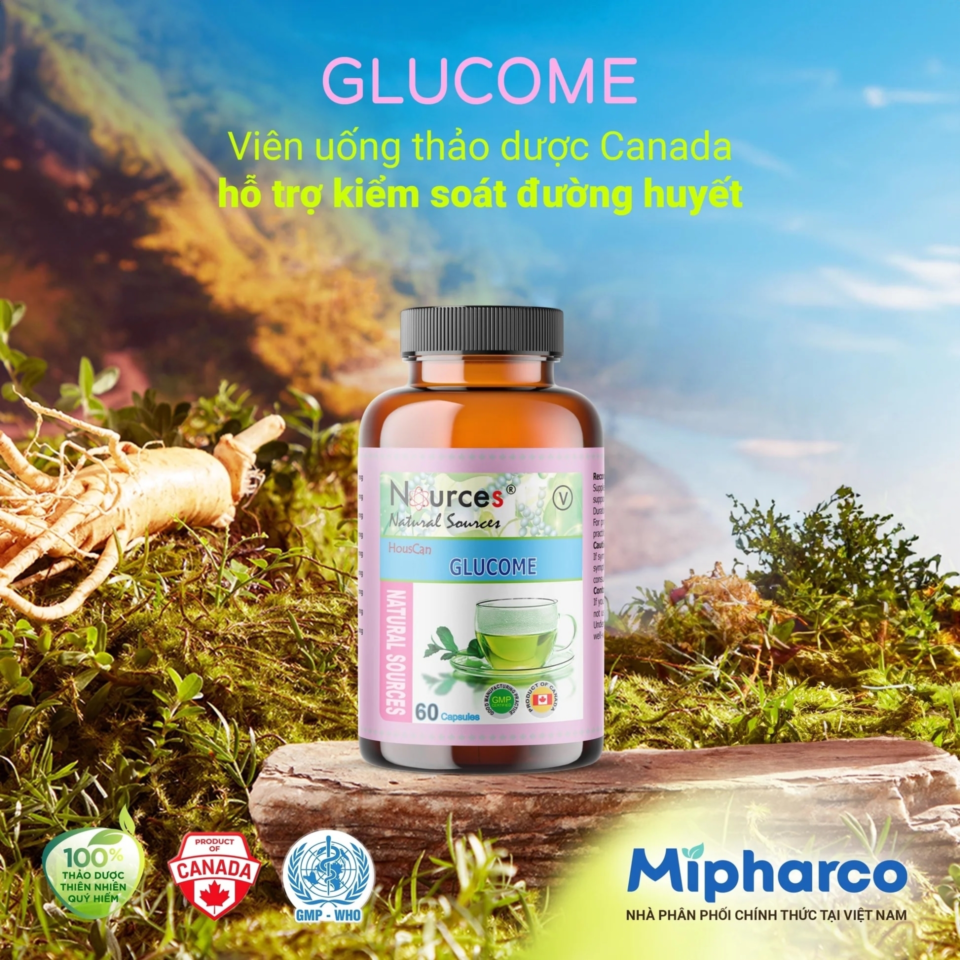 Combo 2 hộp Viên uống thảo dược hỗ trợ kiểm soát đường huyết GlucoMe.