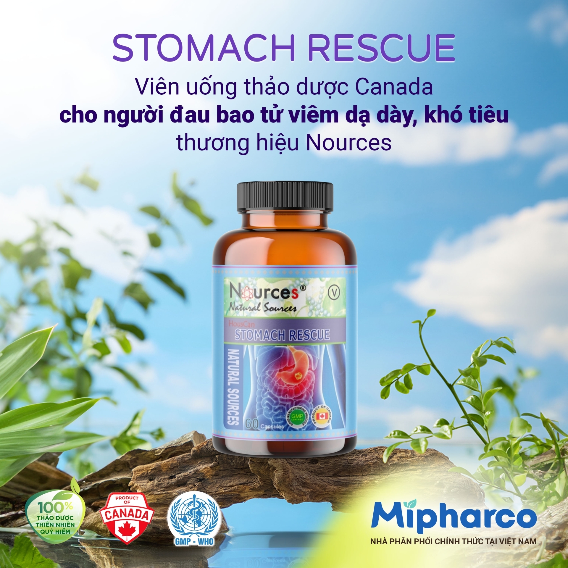 Combo Viên uống thảo dược hỗ trợ điều trị đau bao tử, viêm dạ dày, đầy hơi, khó tiêu Stomach Rescue